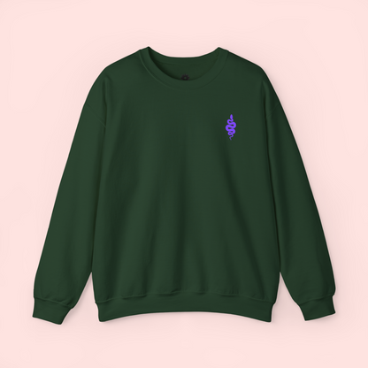 Embroidered 'Snake' Crewneck Sweatshirt